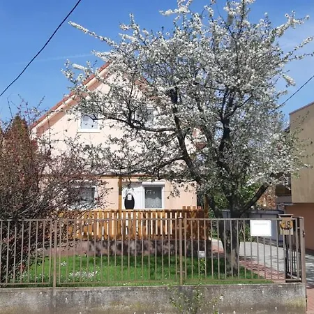 Apartment Rozsa